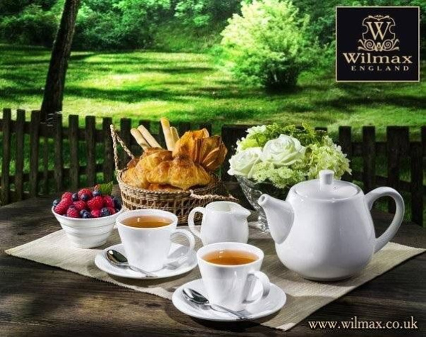 Чайник заварочный Wilmax 500 мл